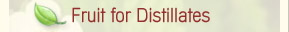 Fruit for Distillates